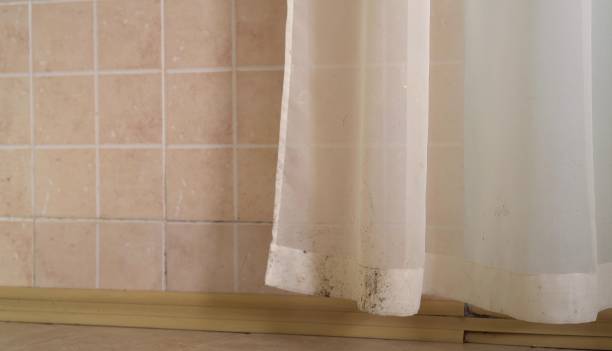 Best Mold Removal for HVAC Installations  in Water Mill, NY