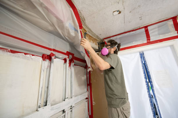 Best Commercial Mold Inspection  in Water Mill, NY