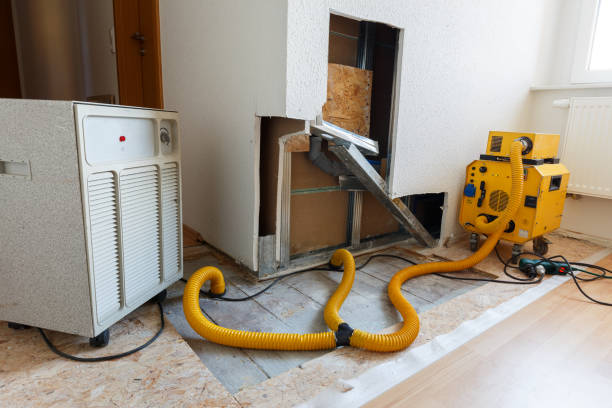 Best Asbestos and Lead Testing During Mold Inspection  in Water Mill, NY