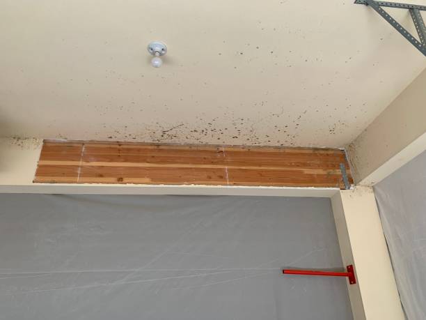 Mold Removal for HVAC Installations in Water Mill, NY