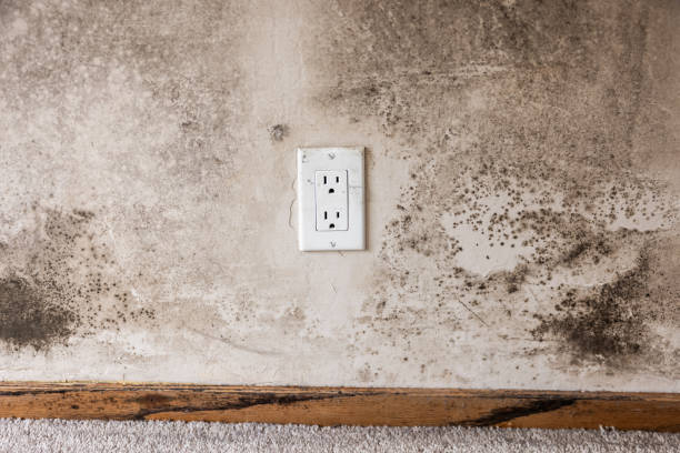 Best Indoor Air Quality Assessment  in Water Mill, NY